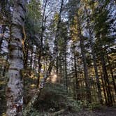 Review photo of Old Cascades Highway Dispersed by TaiteTravels T., October 29, 2025