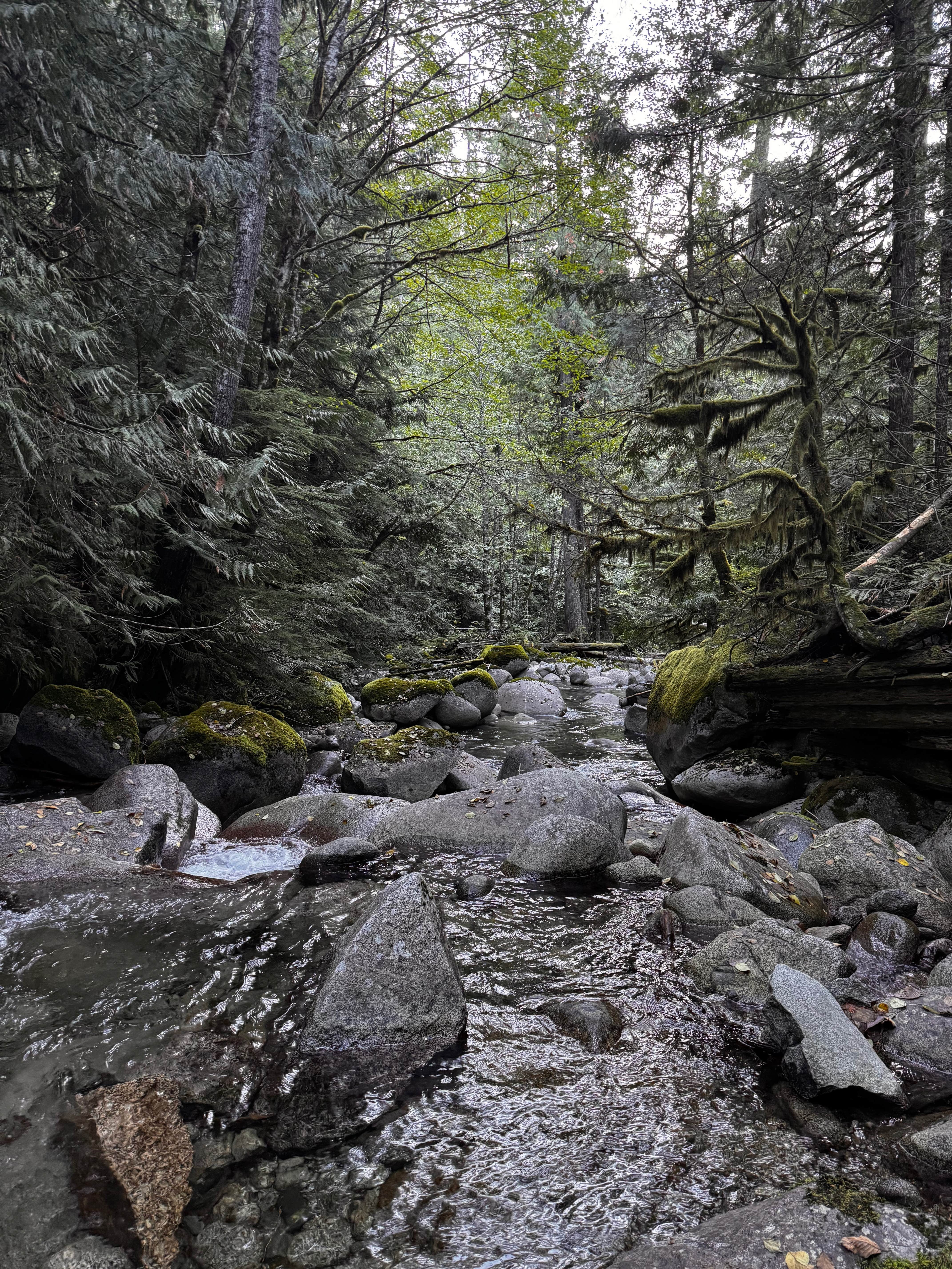 Old Cascades Highway Dispersed