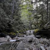 Review photo of Old Cascades Highway Dispersed by TaiteTravels T., October 29, 2025