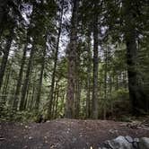 Review photo of Old Cascades Highway Dispersed by TaiteTravels T., October 29, 2025