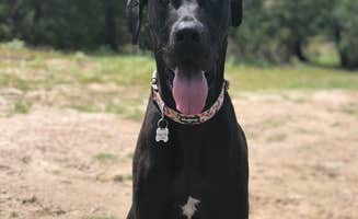 Paige M.'s photo of camping with pets at Copperas Creek at Proctor Lake in Texas