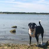 Review photo of Copperas Creek at Proctor Lake by Paige M., August 11, 2019