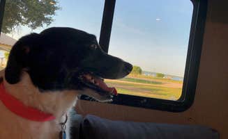 Paige M.'s photo of camping with pets at Copperas Creek at Proctor Lake near Eastland, TX