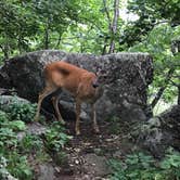 Review photo of Middle Creek Campground by Amanda + Will  , August 11, 2019