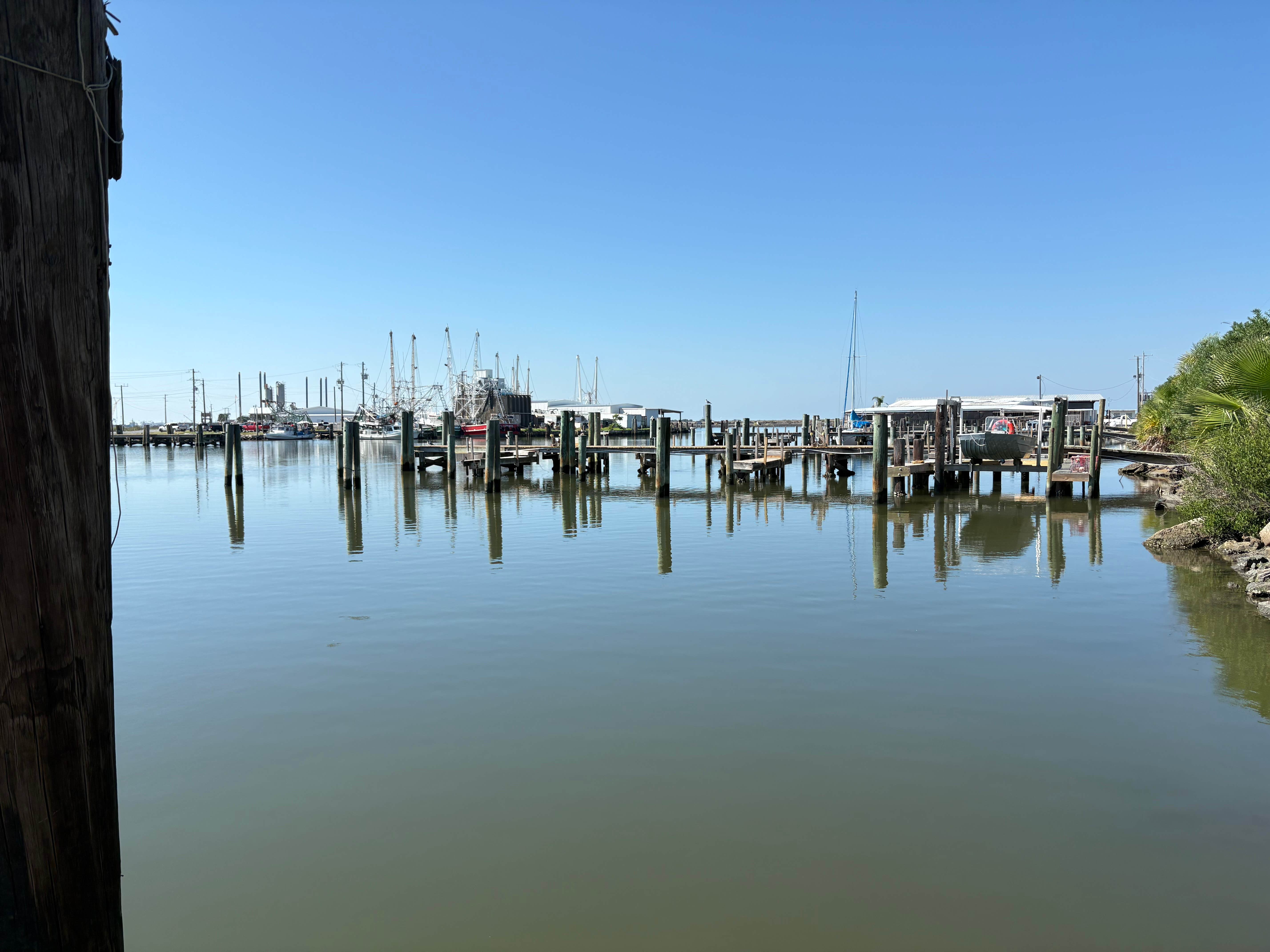 Camper-submitted photo at Fourchon Marina near Grand Isle, LA