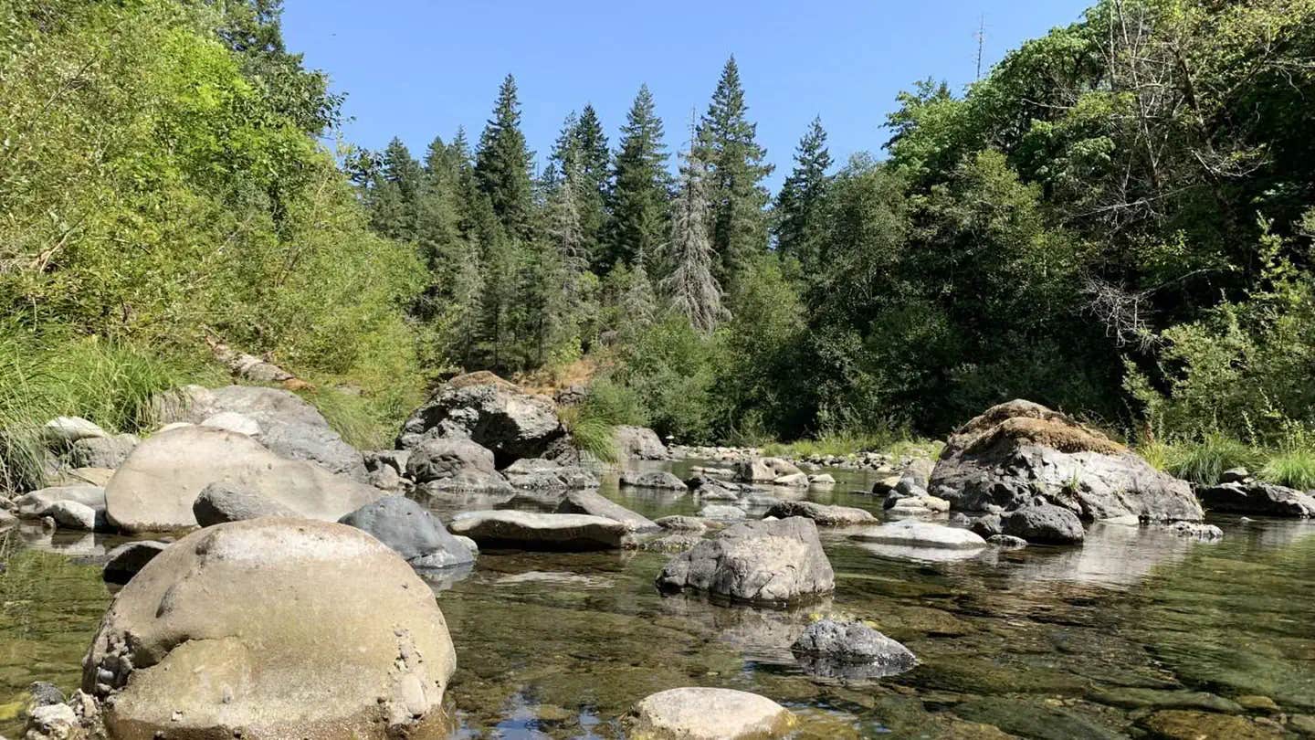 Camper submitted image from Sixes River Recreation Site - 1