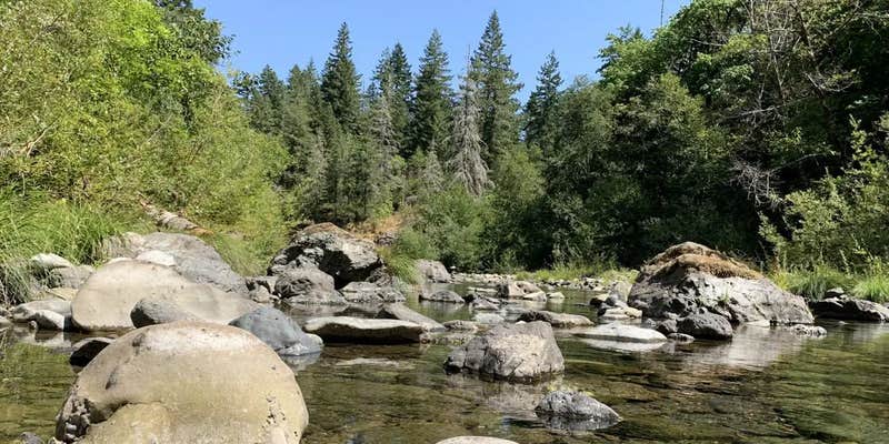 Camper submitted image from Sixes River Recreation Site