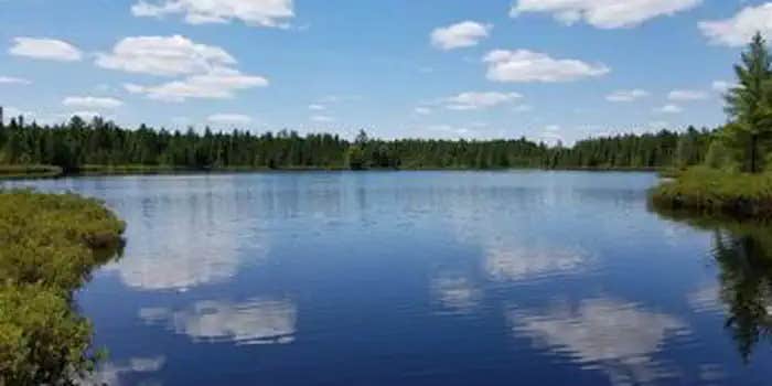 Camper submitted image from Three Lakes