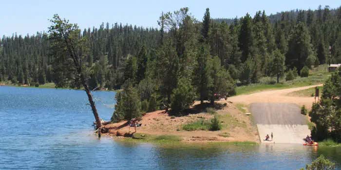 Camper submitted image from Dixie National Forest King Creek Group Site