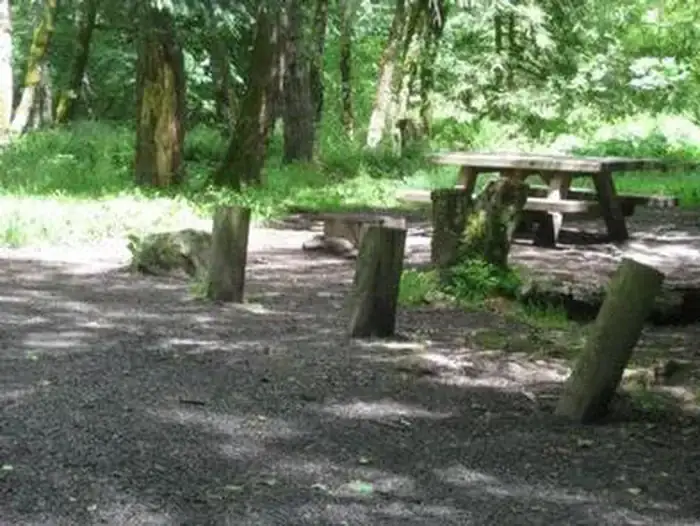 Camper-submitted photo at Mount Hood National Forest Armstrong Campground - TEMP CLOSED FOR FIRE near Colton, OR