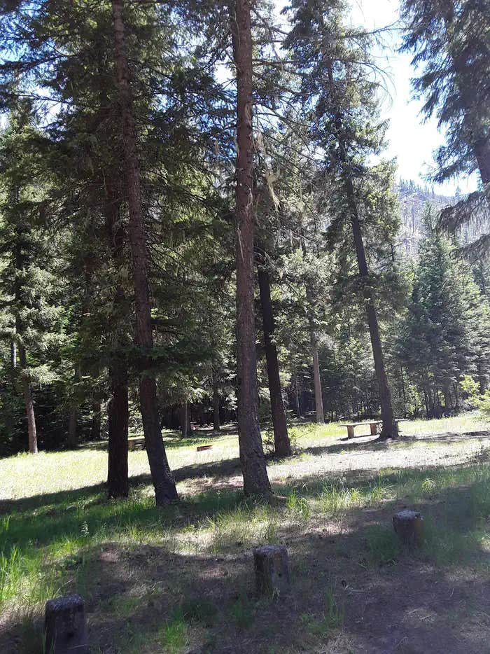 Camper submitted image from Trout Creek Campground (Mt) — Lolo National Forest - 1