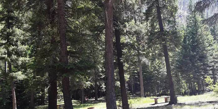 Camper submitted image from Trout Creek Campground (Mt) — Lolo National Forest