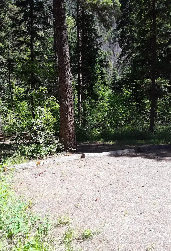 Camper-submitted photo at Trout Creek Campground (Mt) — Lolo National Forest near Superior, MT