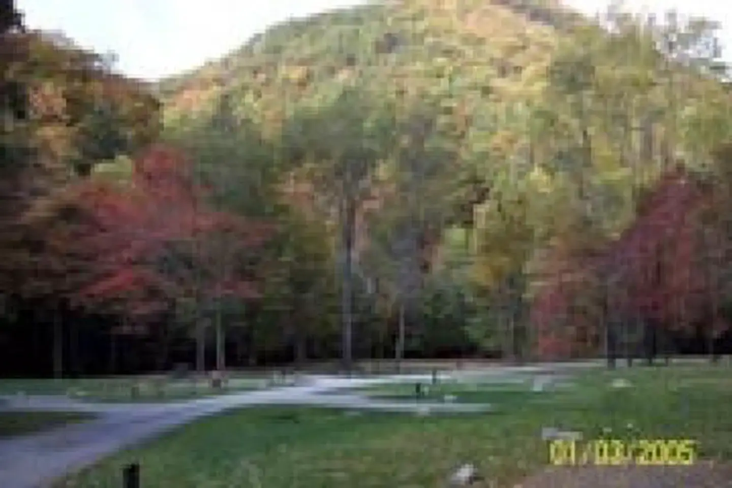 Camper-submitted photo at Raccoon Branch Campground near Atkins, VA