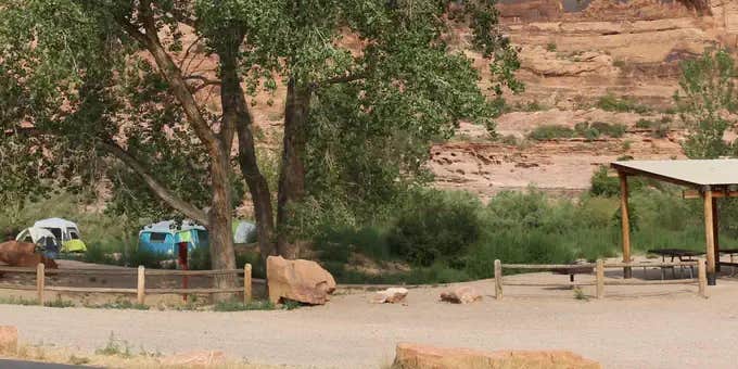 Camper submitted image from Goose Island Campground