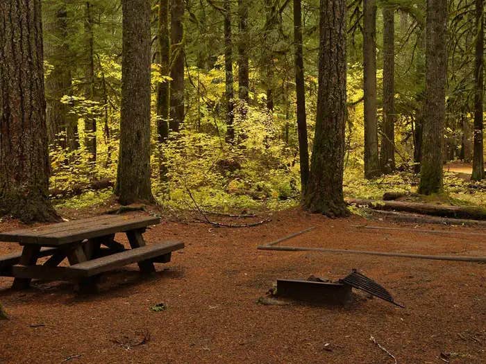 Camper submitted image from Paradise Creek Campground - 1