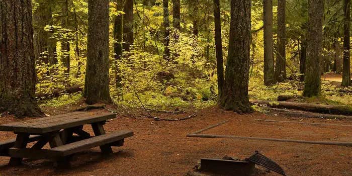 Camper submitted image from Paradise Creek Campground