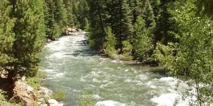 Camper submitted image from Vallecito Campground