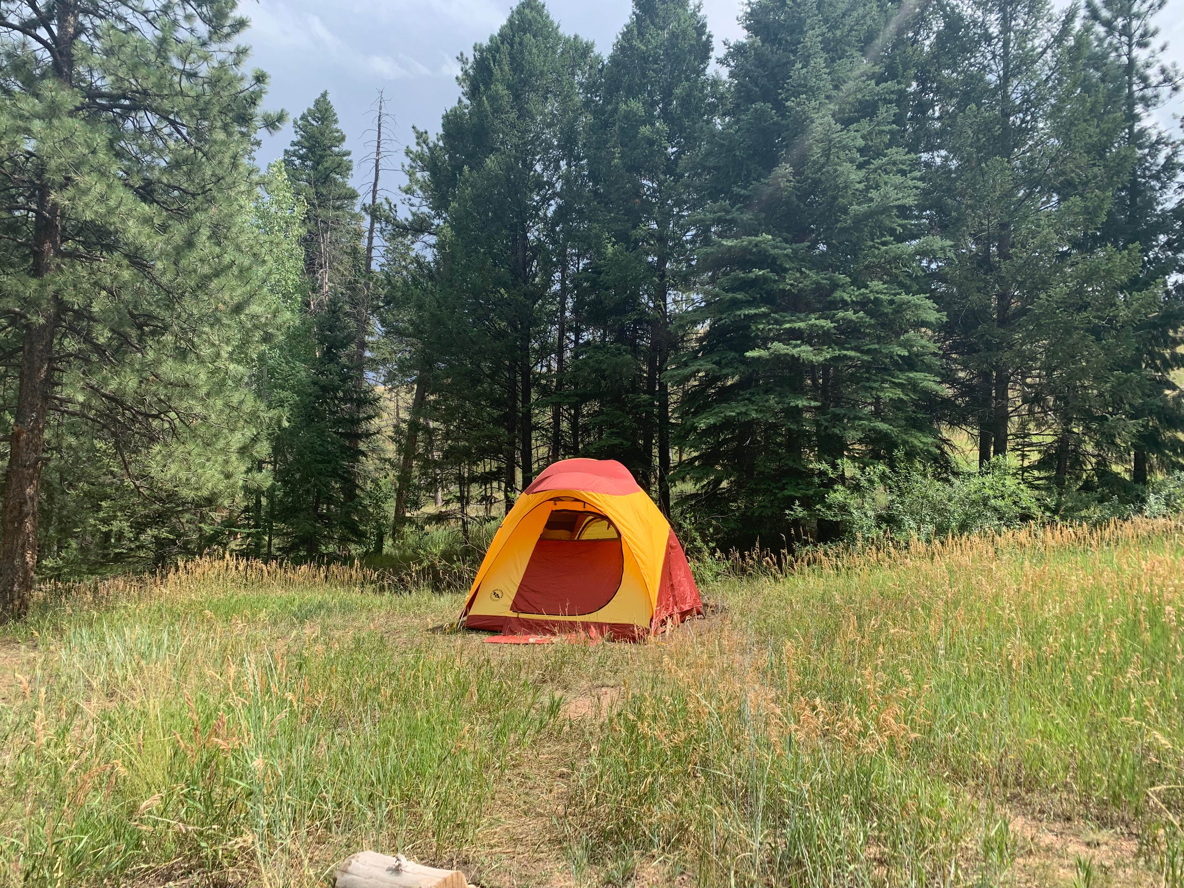Camper-submitted photo at Goose Creek Campground near Deckers, CO