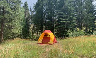 Sam D.'s photo at Goose Creek Campground near Deckers, CO