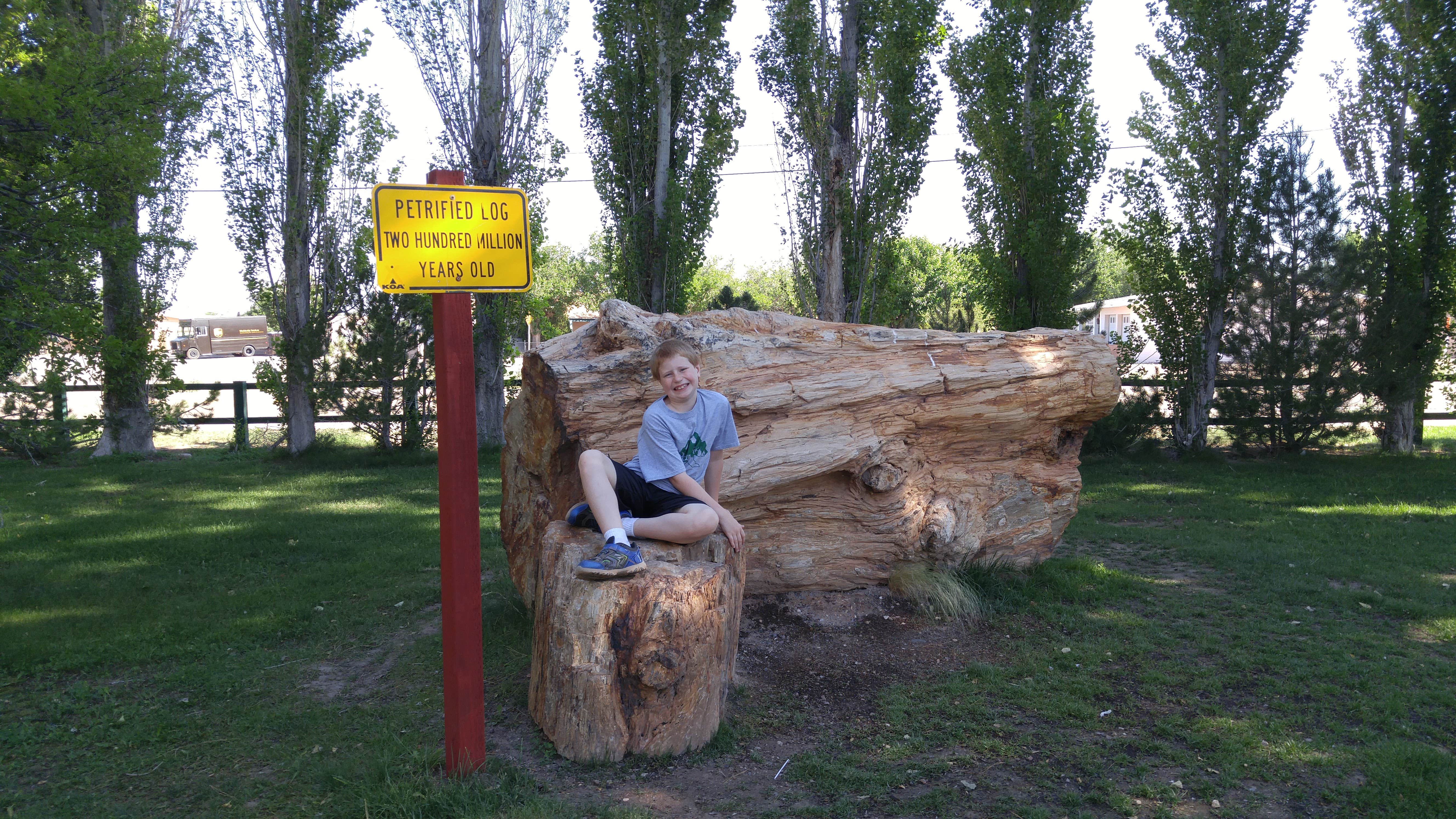 Camper submitted image from Holbrook/Petrified Forest KOA - 5