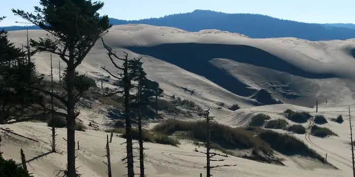 Camper submitted image from Siltcoos Sand Camping