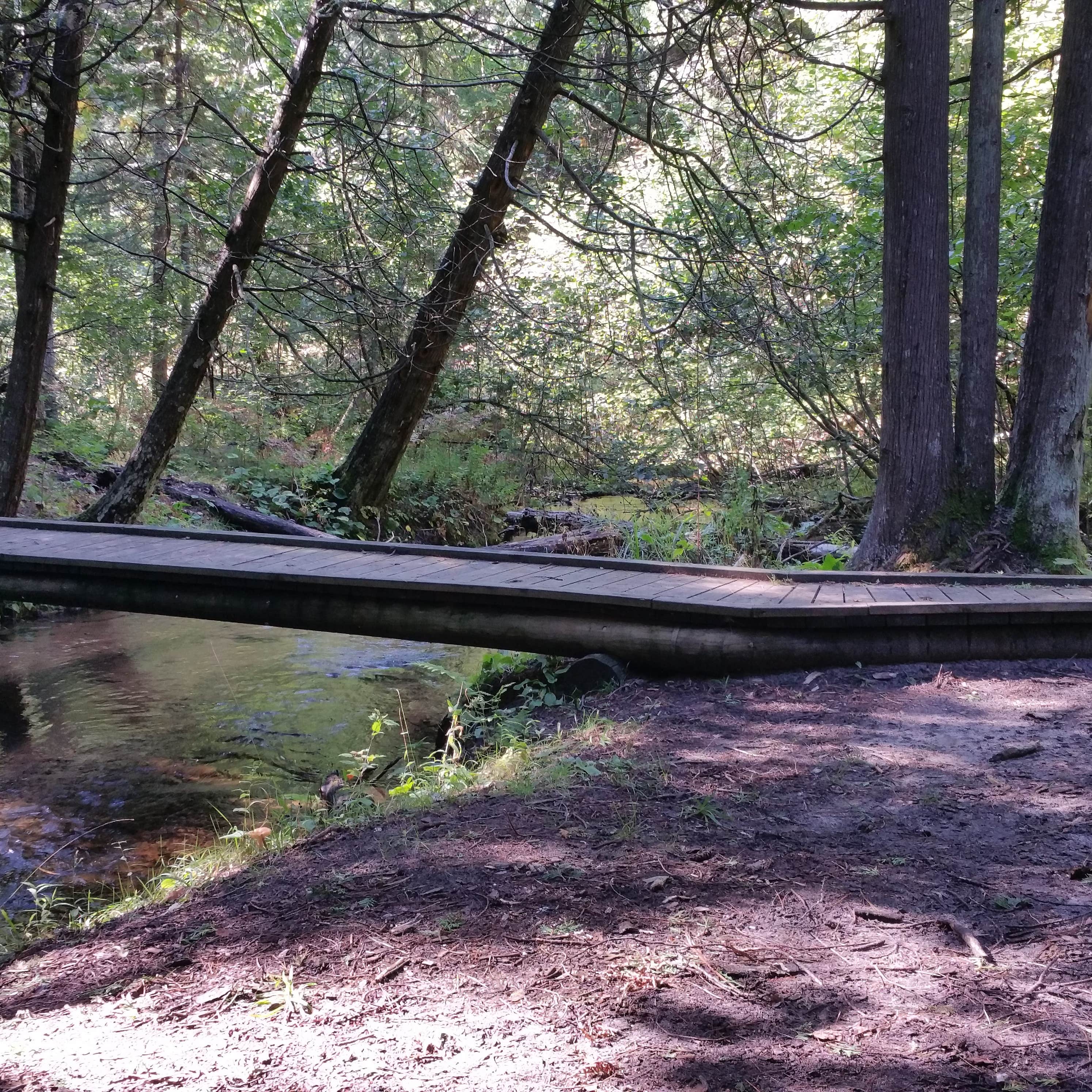 Camper-submitted photo at Old US-131 State Forest Campground near Lake City, MI