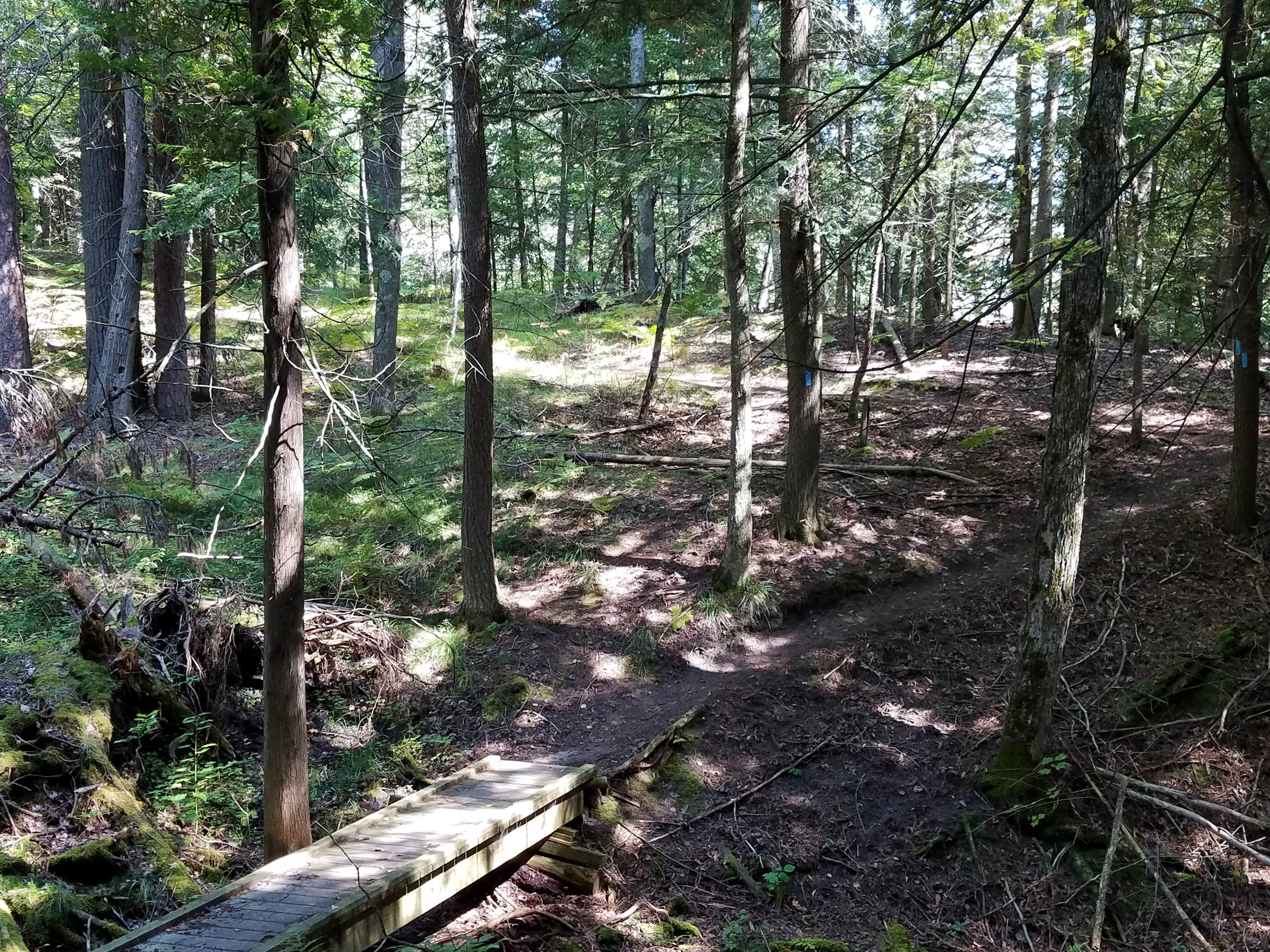 Camper-submitted photo at Old US-131 State Forest Campground near Lake City, MI