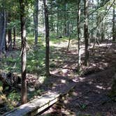 Review photo of Old US-131 State Forest Campground by Larry K., August 11, 2019