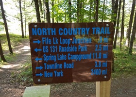 Old US-131 State Forest Campground
