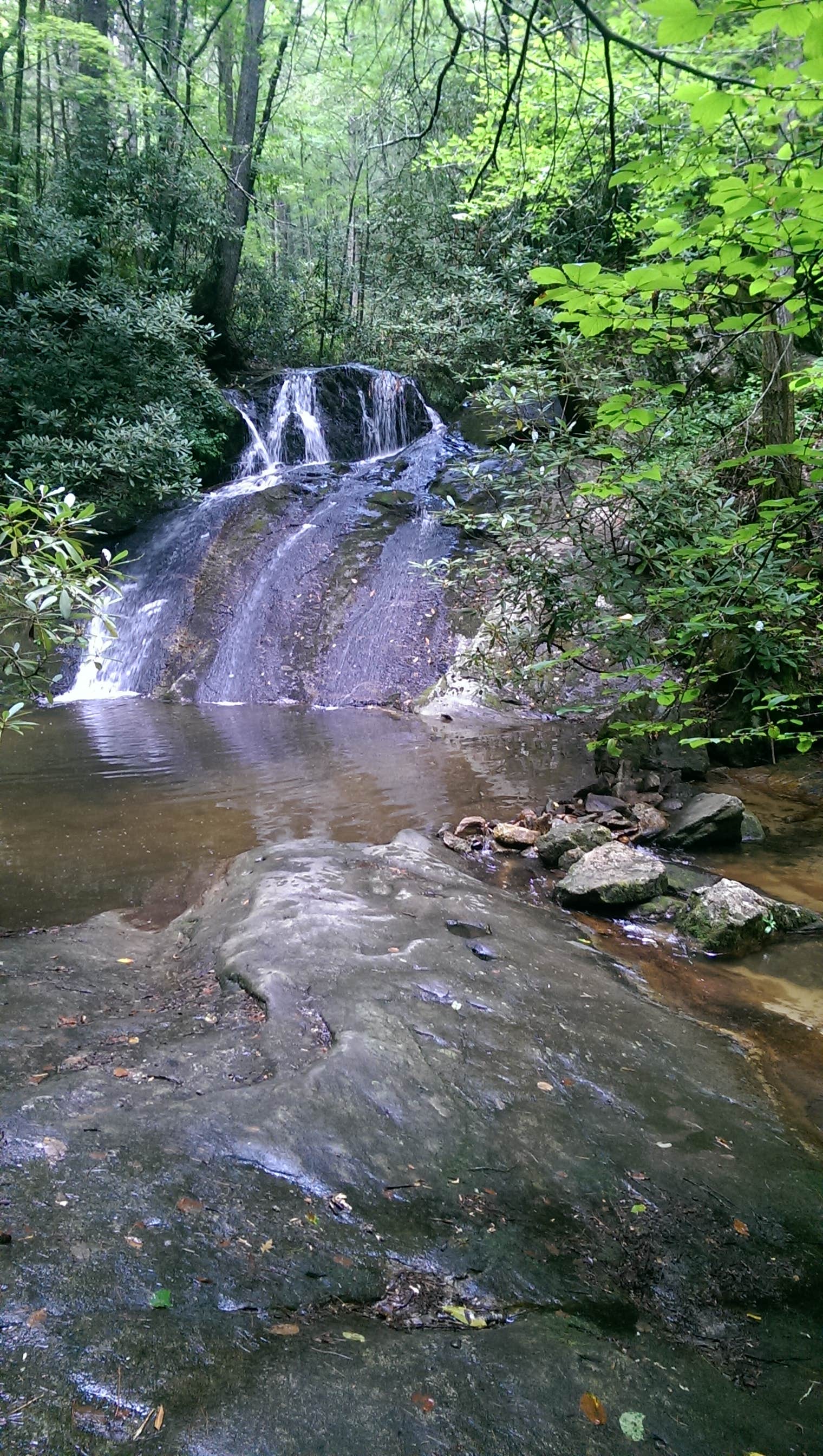 Camper submitted image from Mortimer Campground — National Forests In North Carolina - 3