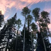 Review photo of Dry Lake Campground by Kristin M., August 11, 2019