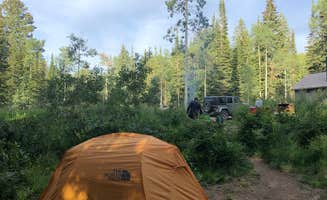 Kristin M.'s photo at Dry Lake Campground near Coalmont, CO