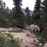 Review photo of Saint Mary Glacier Park KOA Kampground by Easton S., August 11, 2019