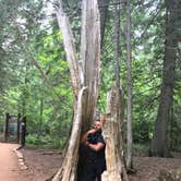 Review photo of Saint Mary Glacier Park KOA Kampground by Easton S., August 11, 2019