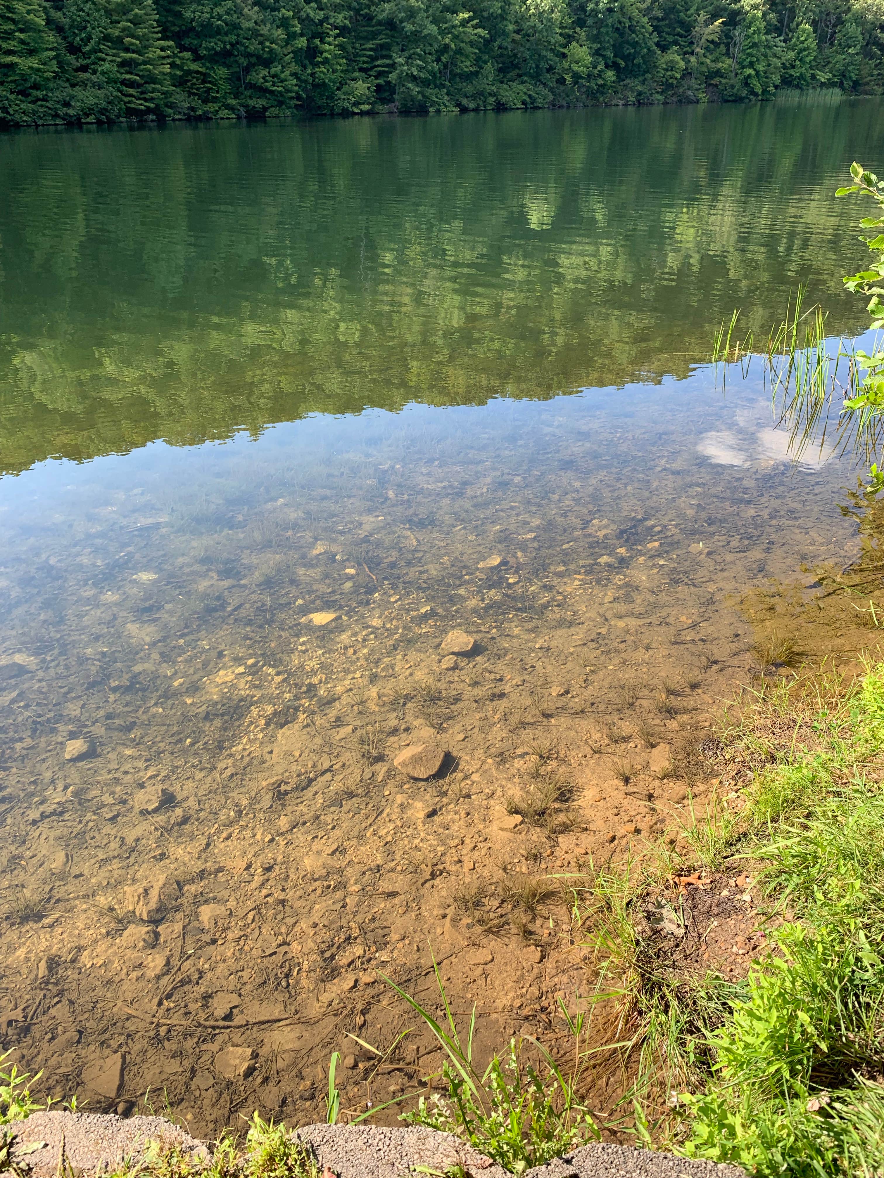 Camper submitted image from Trout Pond Recreation Area - 3