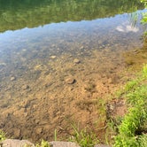Review photo of Trout Pond Recreation Area by Laure D., August 11, 2019