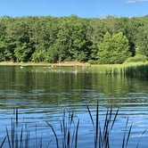 Review photo of Trout Pond Recreation Area by Laure D., August 11, 2019