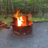 Review photo of Trout Pond Recreation Area by Laure D., August 11, 2019