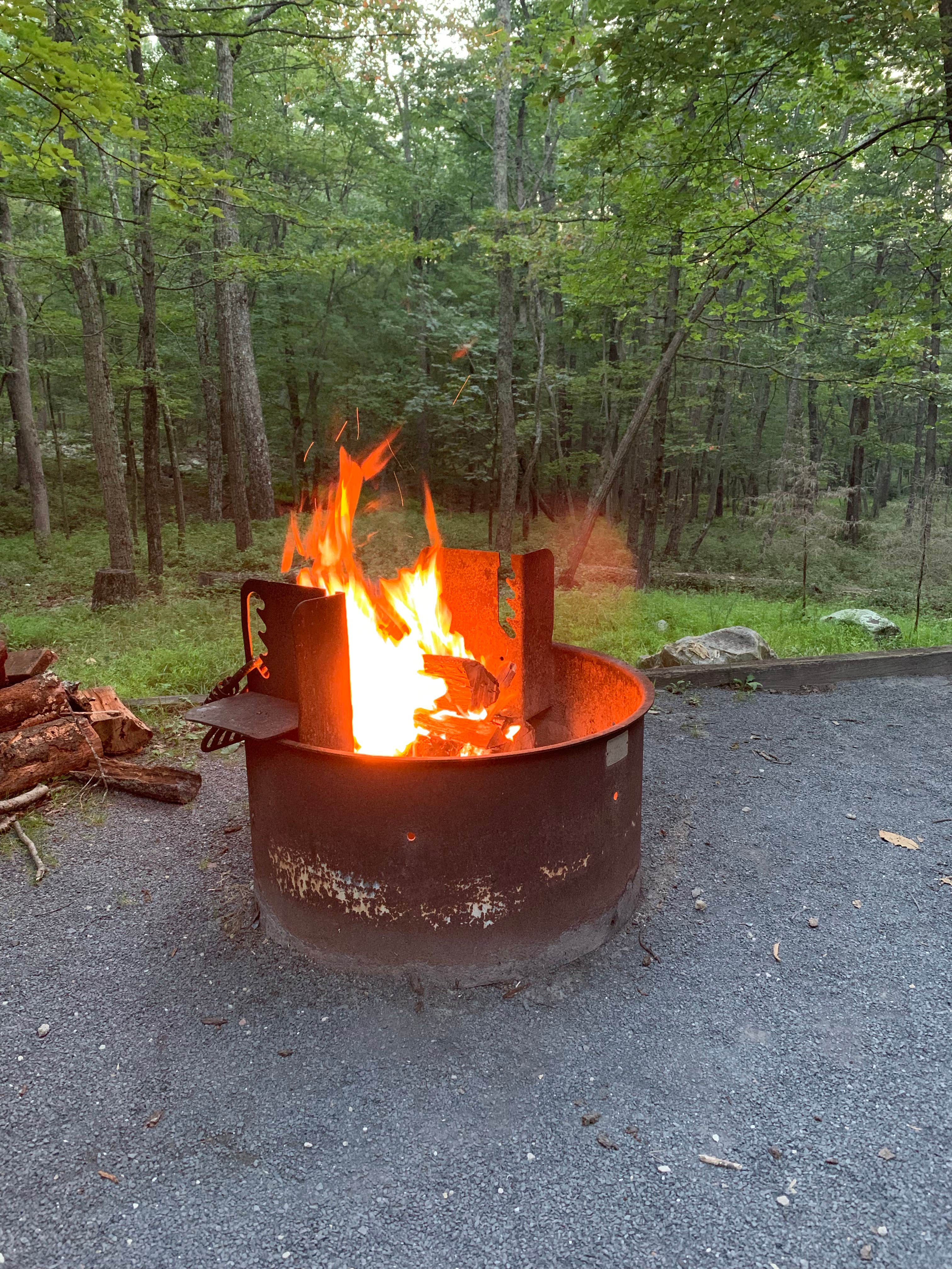 Camper submitted image from Trout Pond Recreation Area - 4