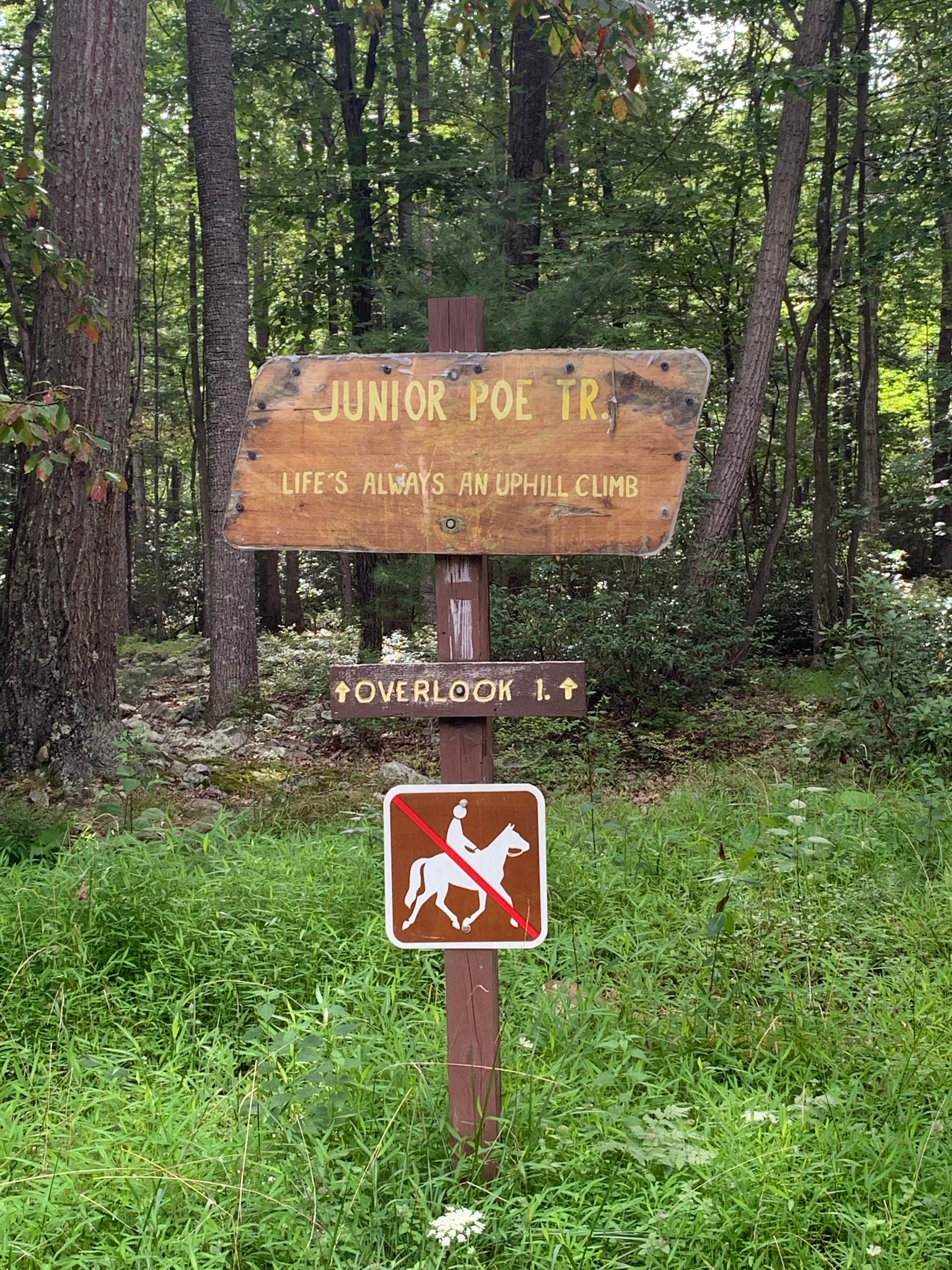 Camper submitted image from Trout Pond Recreation Area - 4