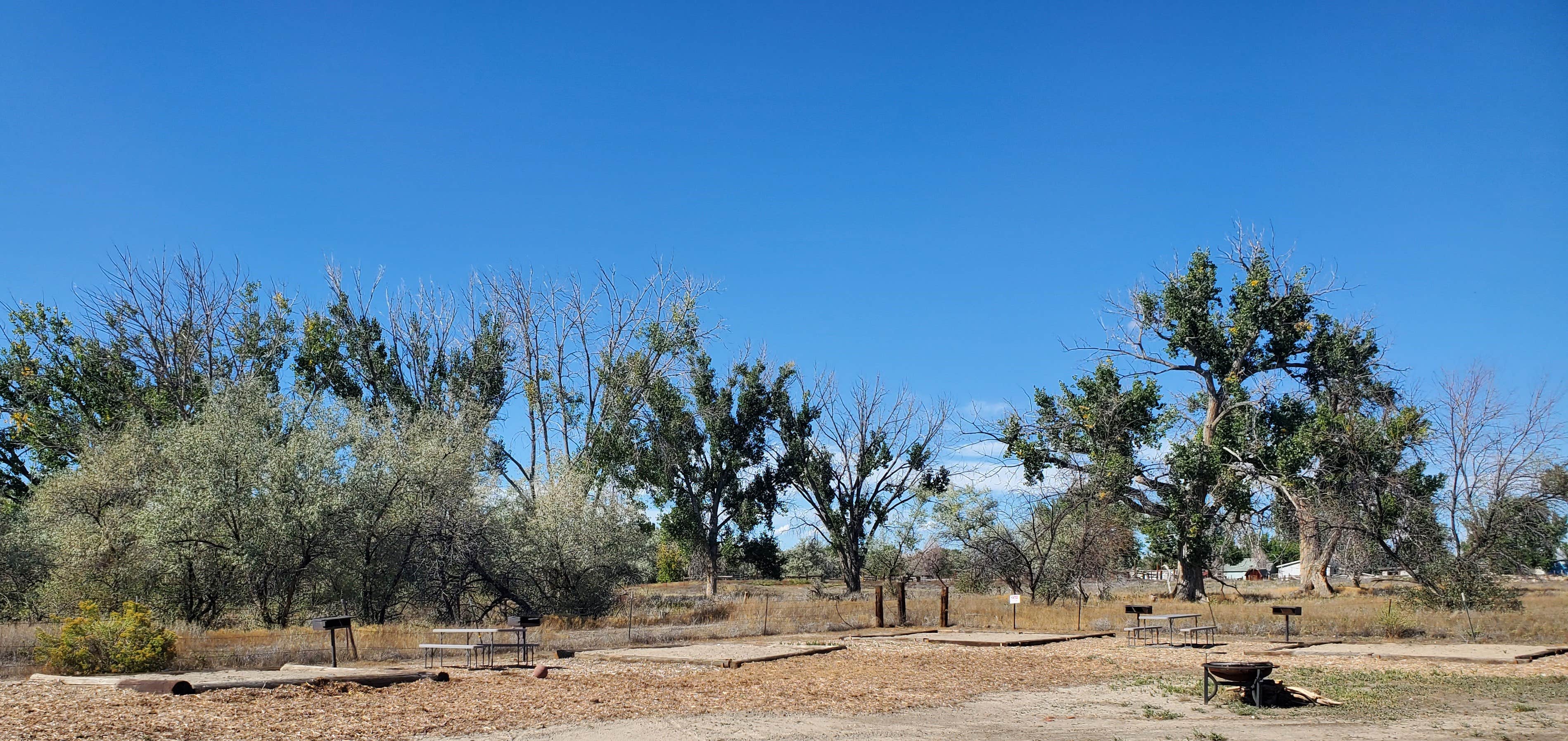 Camper-submitted photo at Where Am I to Go Campground near Greybull, WY