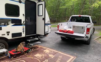Laure D.'s photo of rv camping at Trout Pond Recreation Area near Keyser, WV