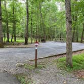 Review photo of Trout Pond Recreation Area by Laure D., August 11, 2019