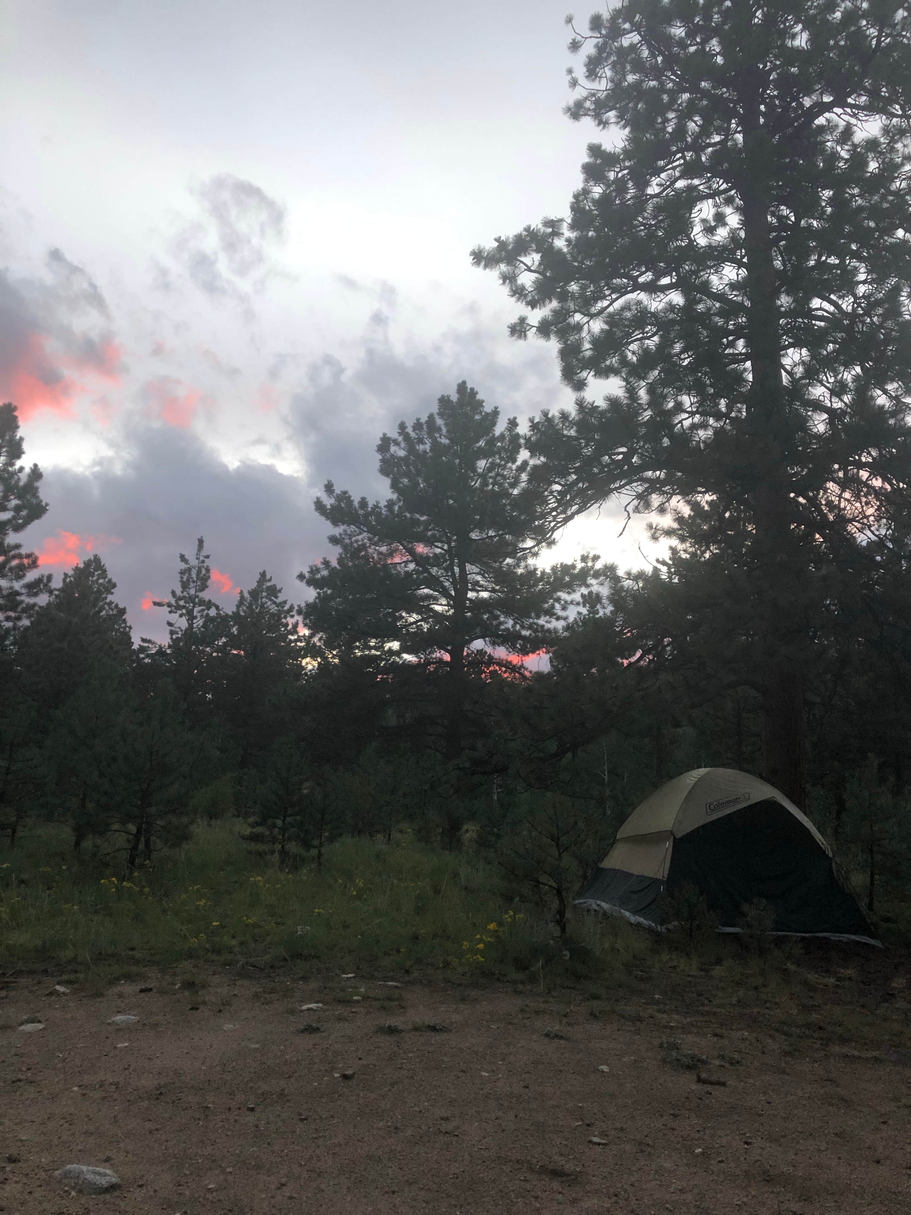 Courtney L.'s photo at Browns Creek near Nathrop, CO