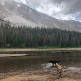 Review photo of Browns Creek by Courtney L., August 11, 2019