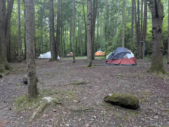 Camper submitted image from Big Creek Group Camp — Great Smoky Mountains National Park - 1