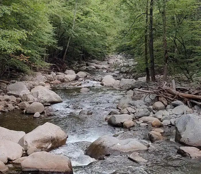 Camper-submitted photo at Big Creek Group Camp — Great Smoky Mountains National Park near Hartford, TN