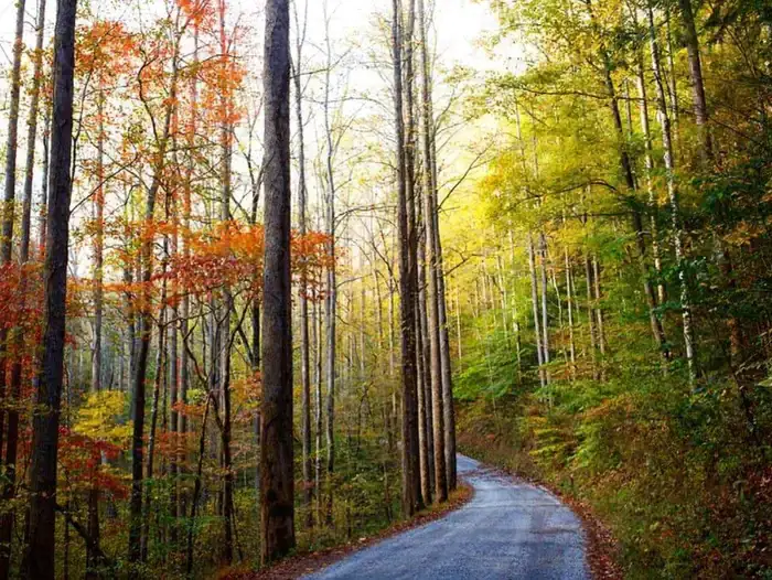 Camper-submitted photo at Big Creek Group Camp — Great Smoky Mountains National Park near Hartford, TN
