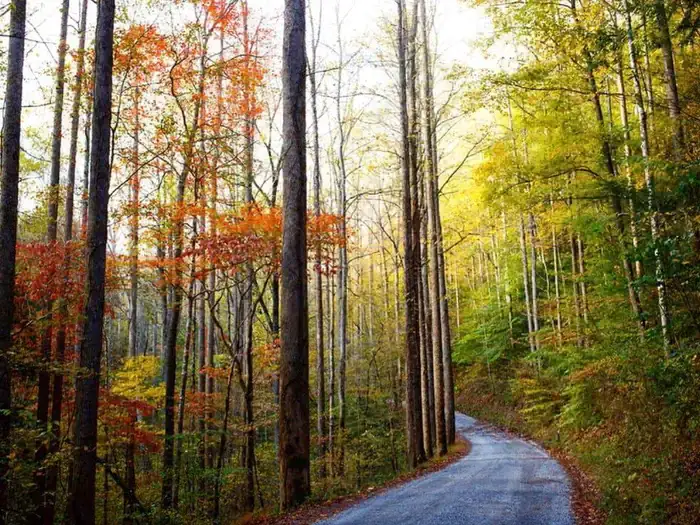 Camper-submitted photo at Big Creek Group Camp — Great Smoky Mountains National Park near Hartford, TN